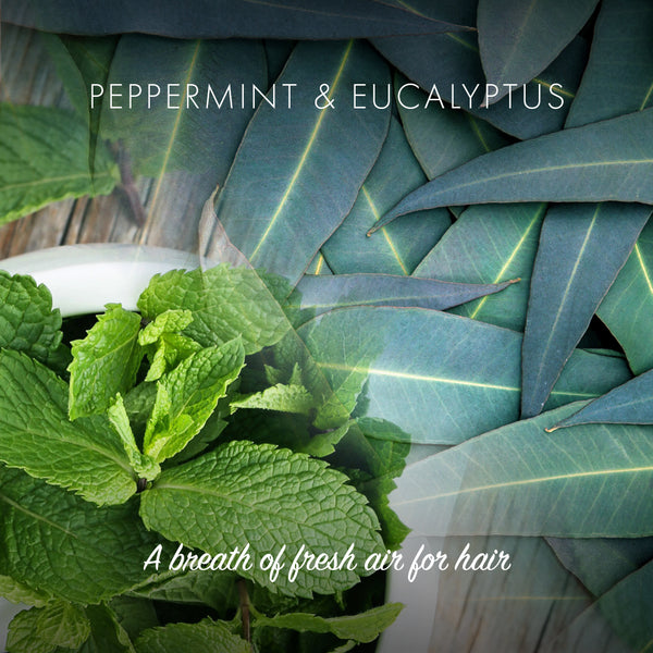 Friendly Conditioner Bar - Peppermint and Eucalyptus - Vegan (90g)