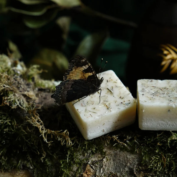 Forest Floor Wax Melts